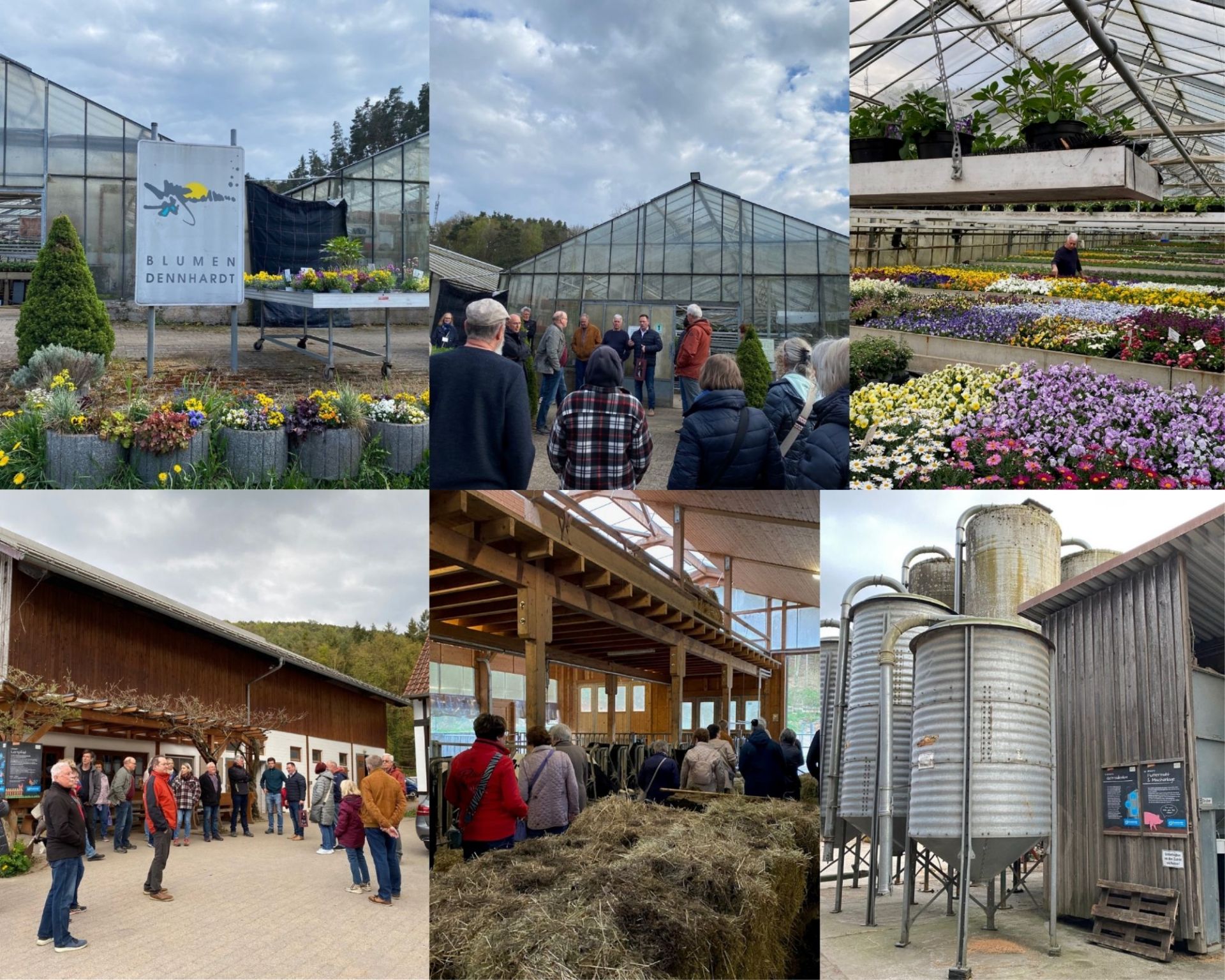 Zusammenbstellung von 6 Bildern vom Abendspaziergang in Altleiningen in der Gärtnerei Dennhardt und im Kleinsägmühlerhof.