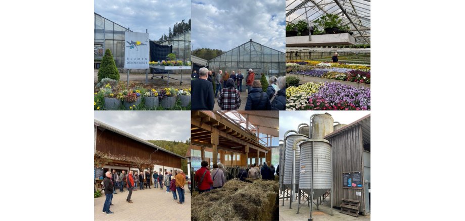 Zusammenbstellung von 6 Bildern vom Abendspaziergang in Altleiningen in der Gärtnerei Dennhardt und im Kleinsägmühlerhof.