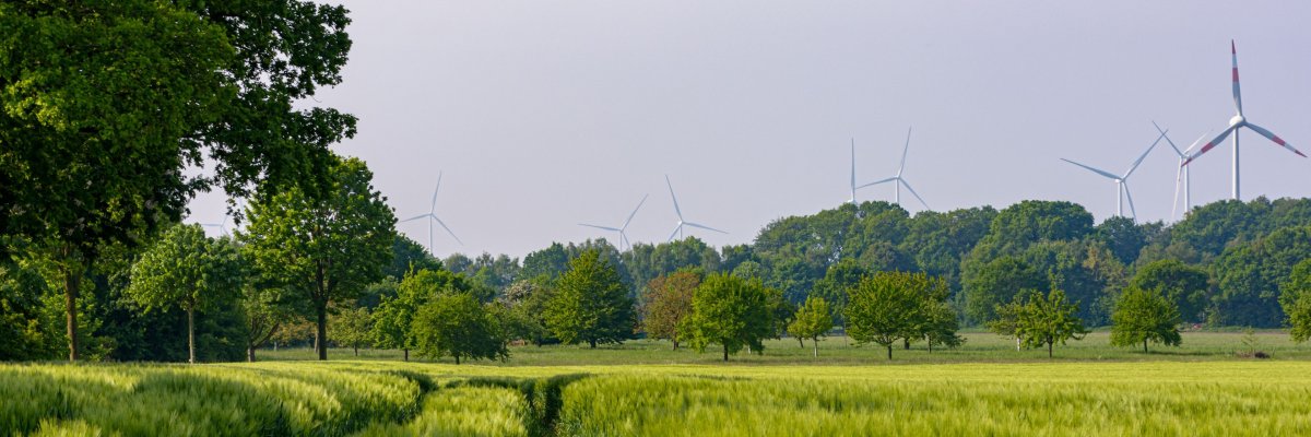 2012_246_.jpg