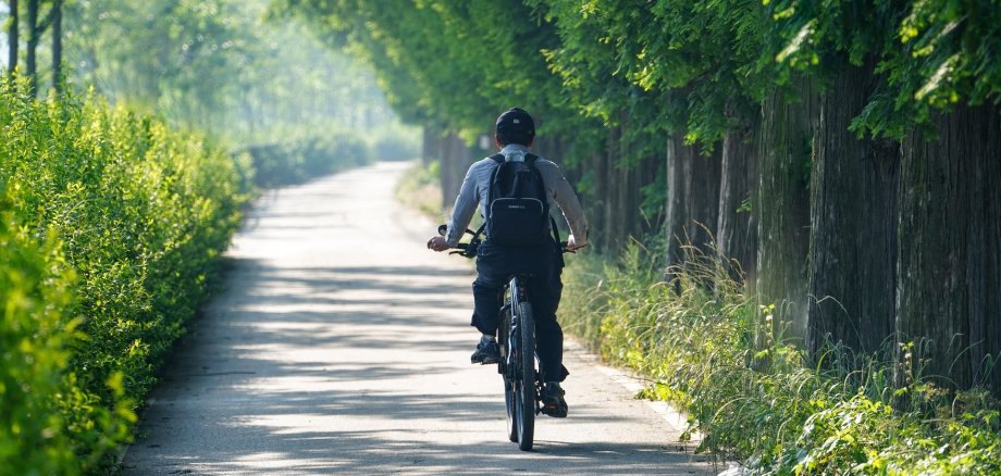 Fahrradfahrer Fahrradfahrer auf Straße im Grünen