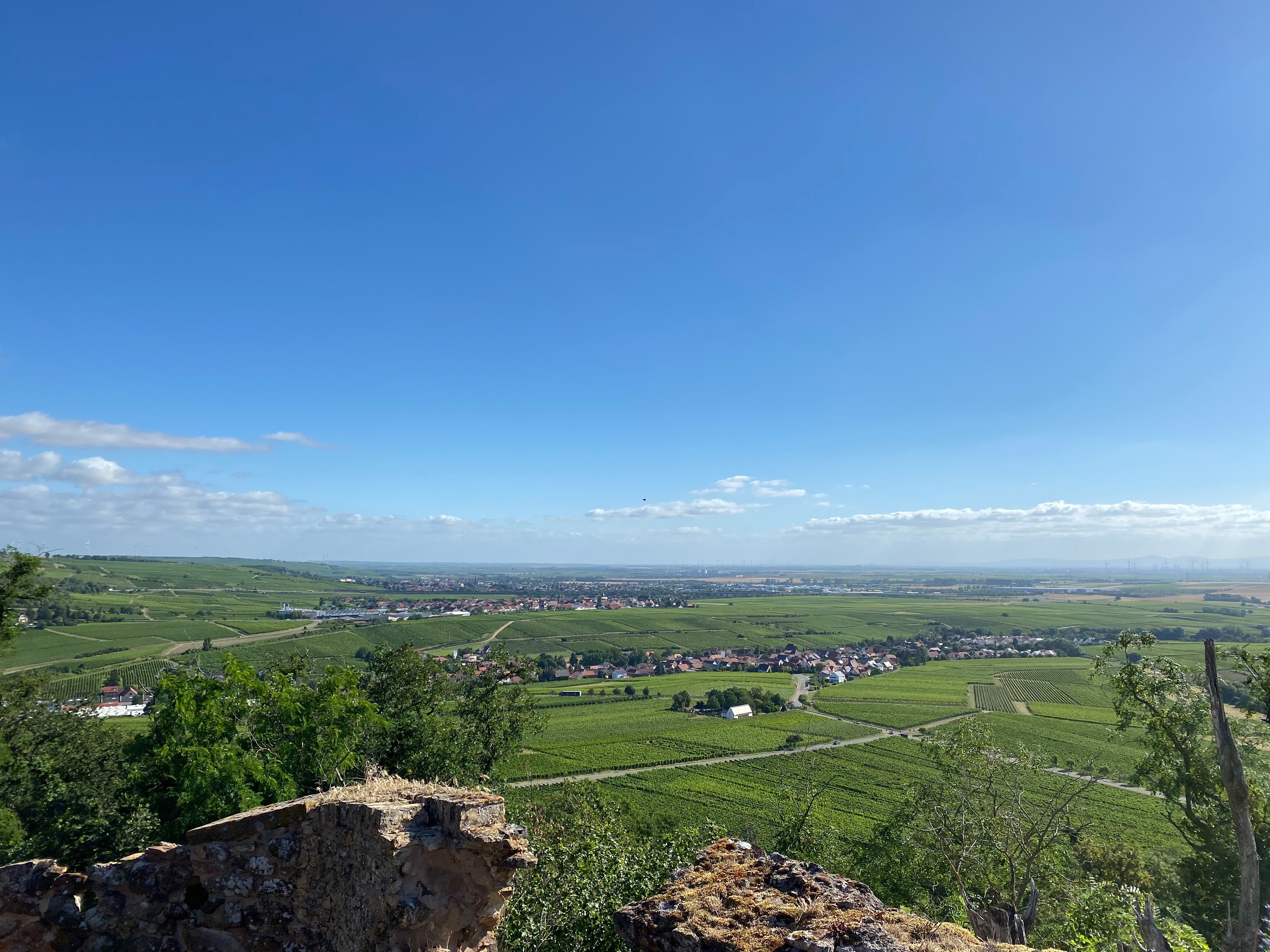 Panoramablick über Weinberge und Dörfer von einer Burgruine aus unter blauem Himmel