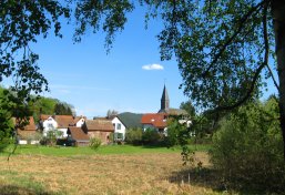 Dorf mit mehreren Häusern und Kirchturm im Hintergrund, umgeben von grünen Bäumen und Wiesen unter blauem Himmel.