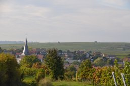 Blick auf ein Dorf mit einem Kirchturm, umgeben von Weinbergen und Bäumen unter bewölktem Himmel.