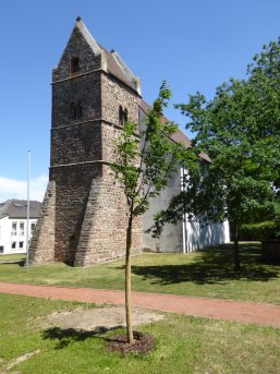 Kirchturm aus grobem Stein mit Spitzdach neben einem jungen Baum auf einer Wiese unter blauem Himmel.